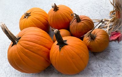 High angle view of pumpkins during autumn