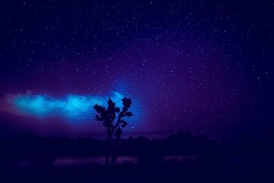 Silhouette trees on field against sky at night