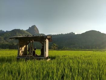 People in wooden structure at farm