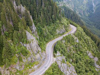 High angle view of road amidst trees