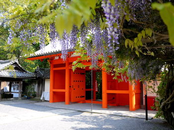 Red outside temple