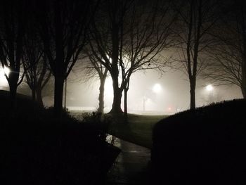 Silhouette trees on field against sky at night