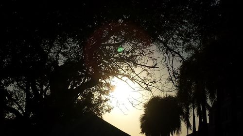 Low angle view of silhouette trees against sky