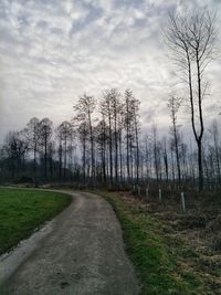 Road amidst bare trees on field against sky