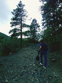 Rear view of woman walking in forest