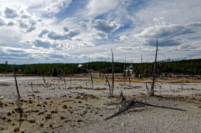 Scenic view of field against sky