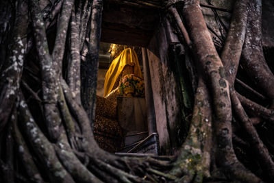 Low angle view of cross hanging on tree trunk