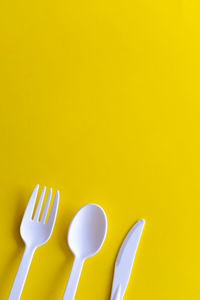 High angle view of yellow leaf on white background