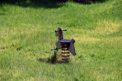 Horse cart on field