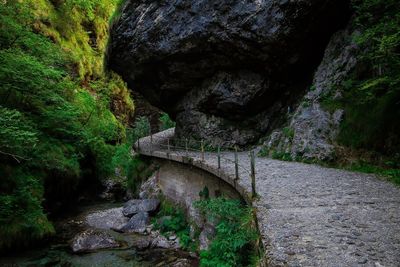 Bridge over river amidst tunnel