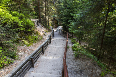 Hiking path in the adrspach-teplice rocks nature reserve, czech republic