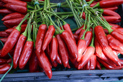 Close-up of red chili peppers for sale at market