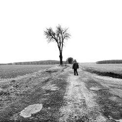 Rear view of person walking on road