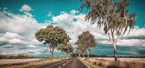 Road amidst trees on field against sky