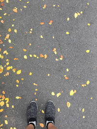 Low section of person standing on road