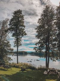 Trees by lake against sky