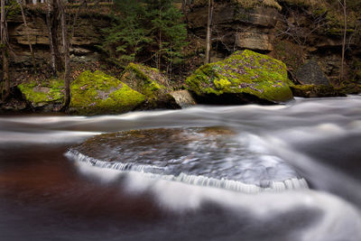 Scenic view of stream flowing through rocks in forest