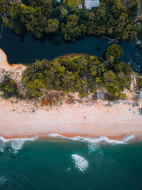 High angle view of plants by sea