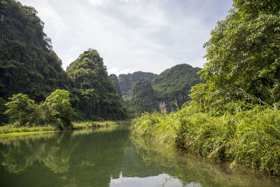 Scenic view of lake by trees against sky