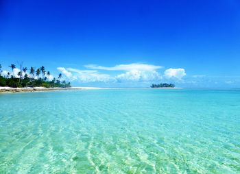 Scenic view of sea against blue sky