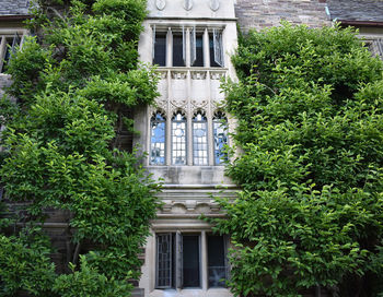 Low angle view of trees and building