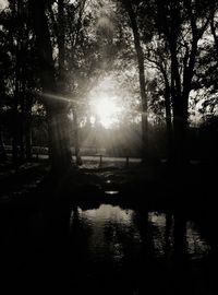 Scenic view of river at sunset