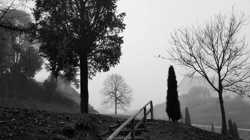 Bare trees on landscape