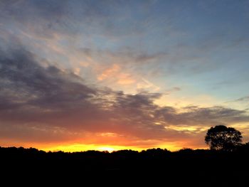 Silhouette trees against sky during sunset