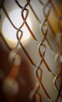Close-up of chainlink fence