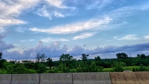 Scenic view of trees against sky