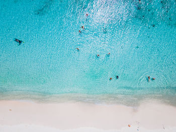 High angle view of people swimming in pool