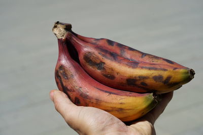 Close-up of hand holding fruit