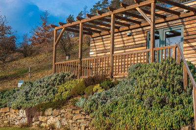 Nordic style brown wooden house on a hilltop with variated greenery growing in front