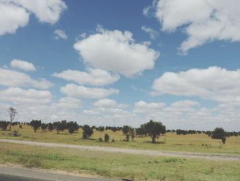 Scenic view of grassy field against cloudy sky