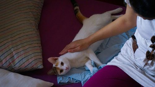 Midsection of woman with puppy relaxing on bed at home