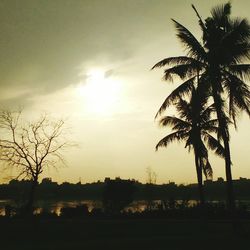 Silhouette palm trees against sky during sunset
