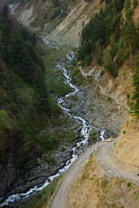 Stream amidst trees on landscape