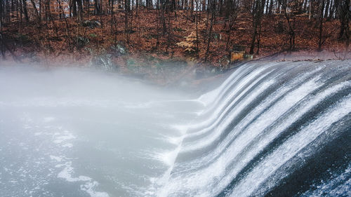 View of river flowing through forest