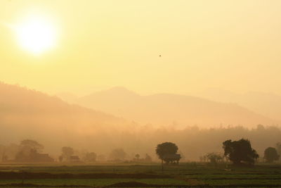 Scenic view of agricultural field against sky during sunset