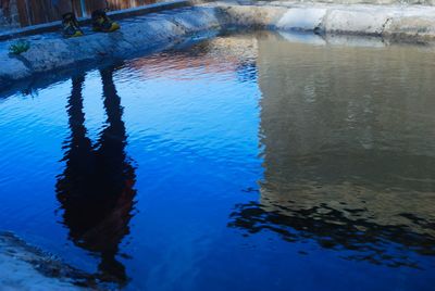 Reflection of trees in water