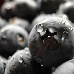 Close-up of water drops on metal