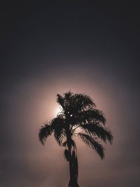 Low angle view of silhouette tree against sky at sunset