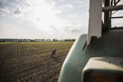 Farmer in a field examining crop