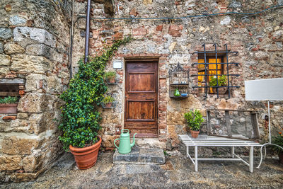 Potted plants on wall of building