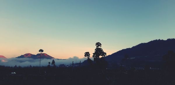 Silhouette trees on landscape against sky during sunset