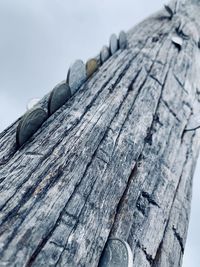 Close-up of wooden log on fence