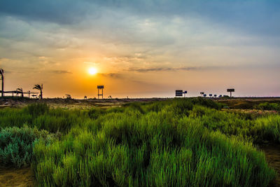 Scenic view of agricultural field against dramatic sky