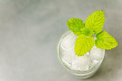 Close-up of ice cream in glass