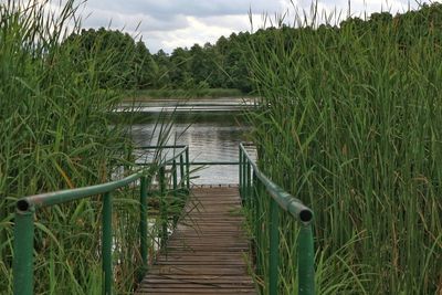 Wooden footbridge on land against sky