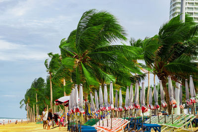 People by palm trees against sky
